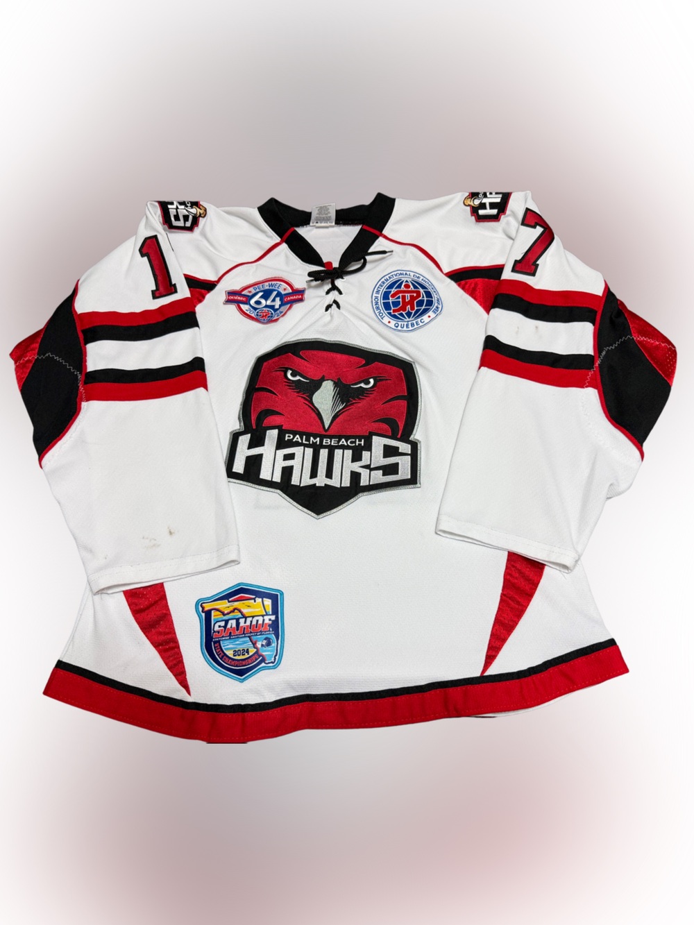 Palm Beach Hawks Authentic Hockey Goalie Jersey Mens Small Athletic Knit RARE